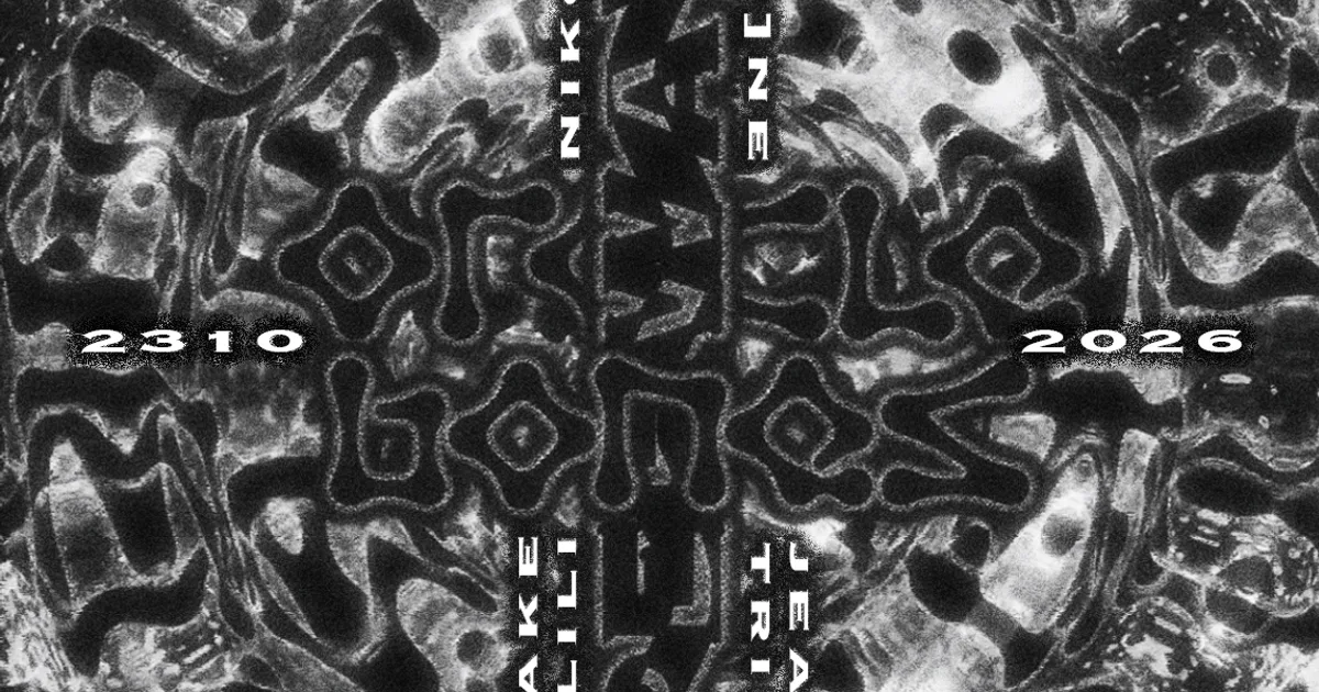 Artwork HYPERWAVES X Oracle Bones