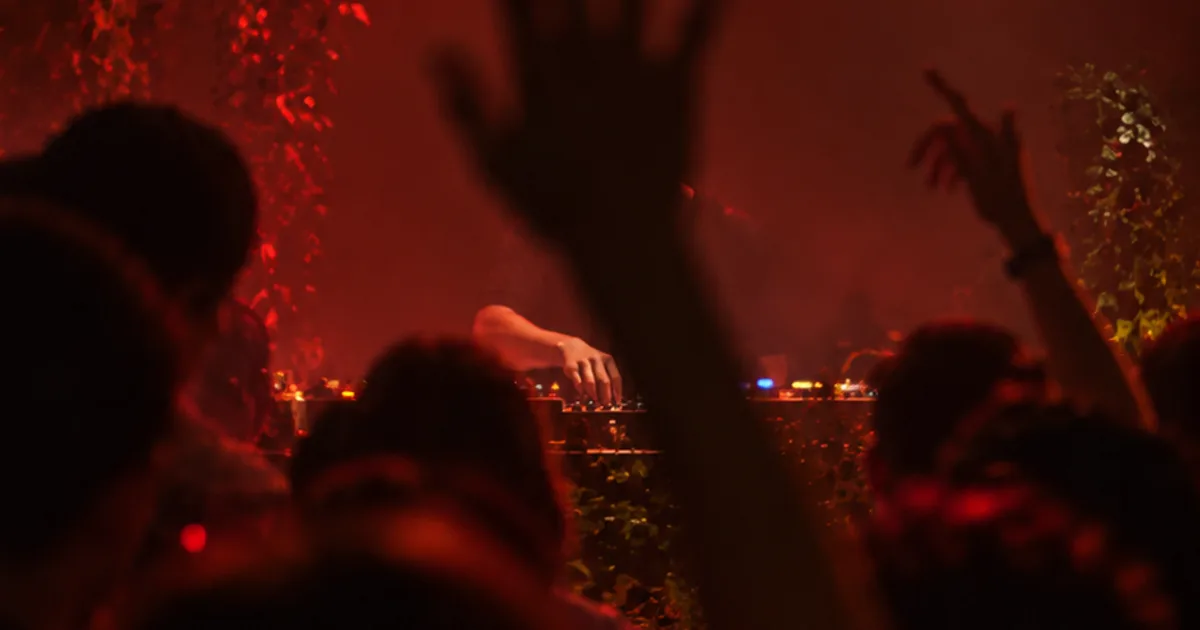 Artwork Open Fire Sessions: House & Botanical grooves
