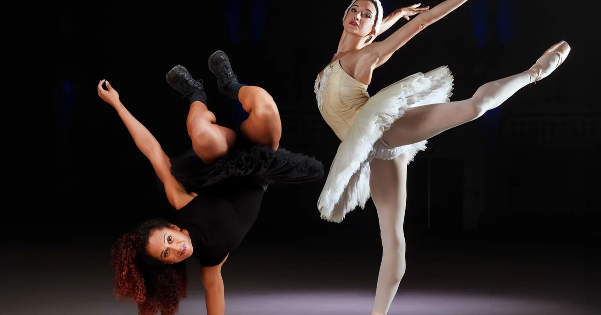 Artwork Swan Lake Remixed